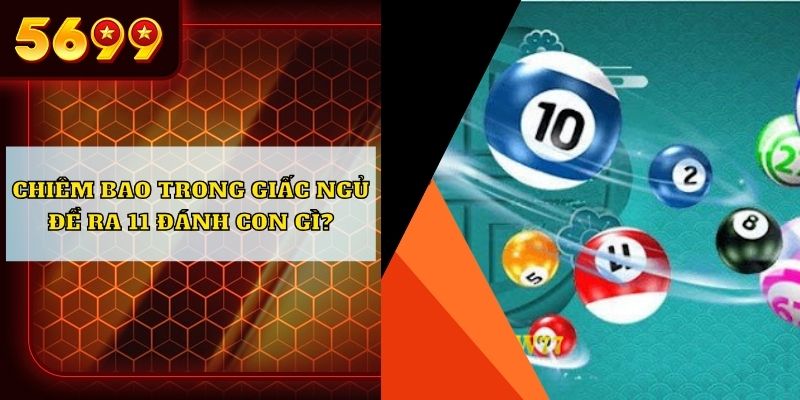 Chiêm bao trong giấc ngủ đề ra 11 đánh con gì?