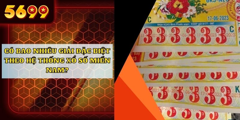 Có bao nhiêu giải đặc biệt trong tổng số vé phát hành mỗi ngày?