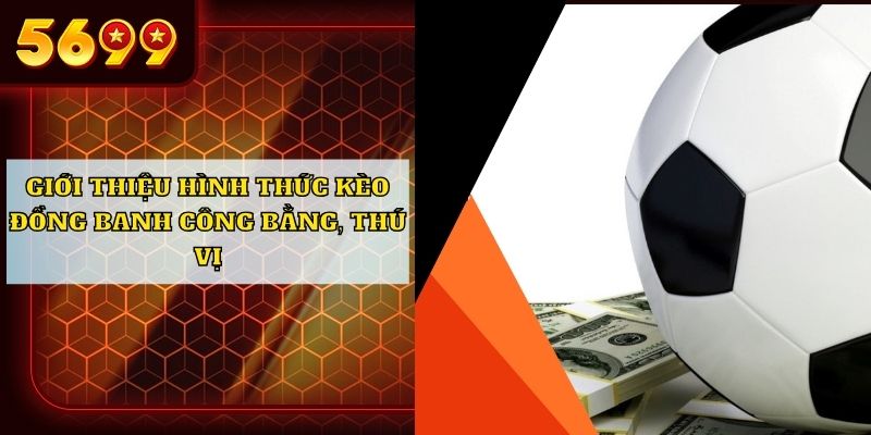 Giới thiệu hình thức kèo đồng banh công bằng, thú vị