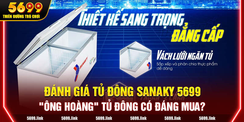 Tủ Đông Sanaky 5699: Đánh Giá, Mẹo Dùng Và Lưu Ý Quan Trọng